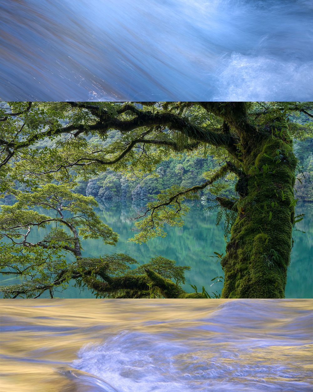 Intimate Landscape Photography