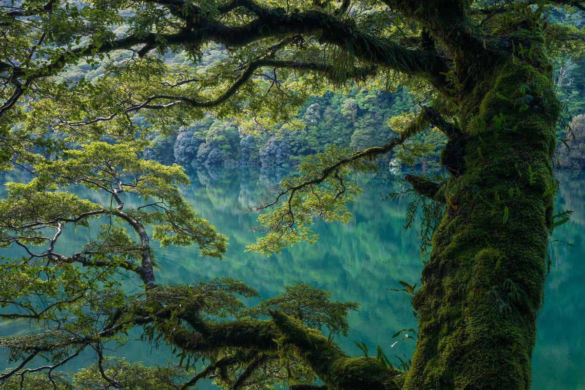 New Zealand South Island