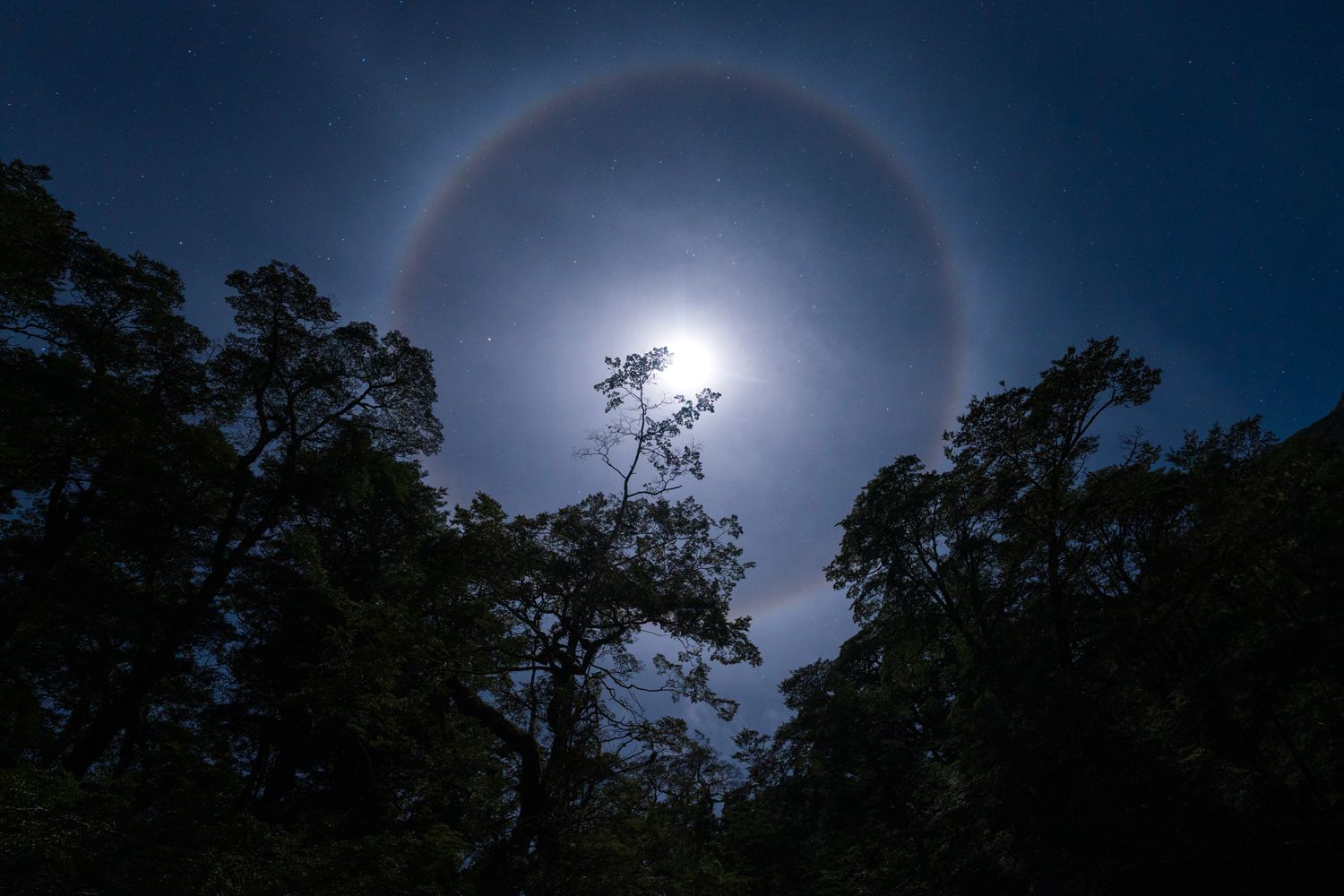 Lunar Halo