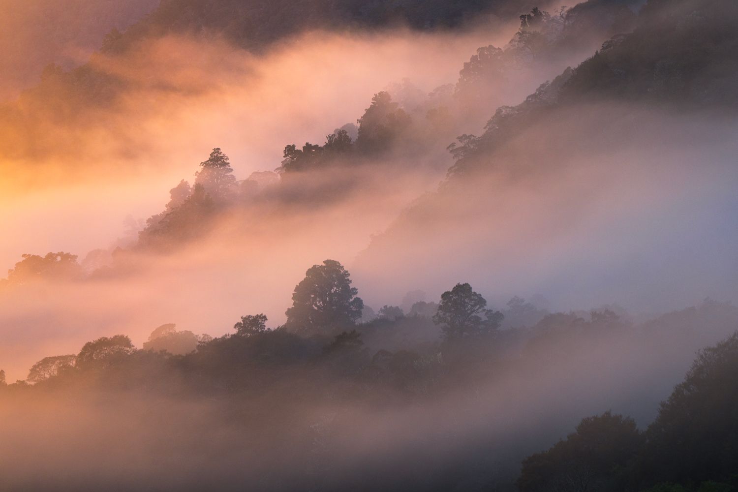 Awakening