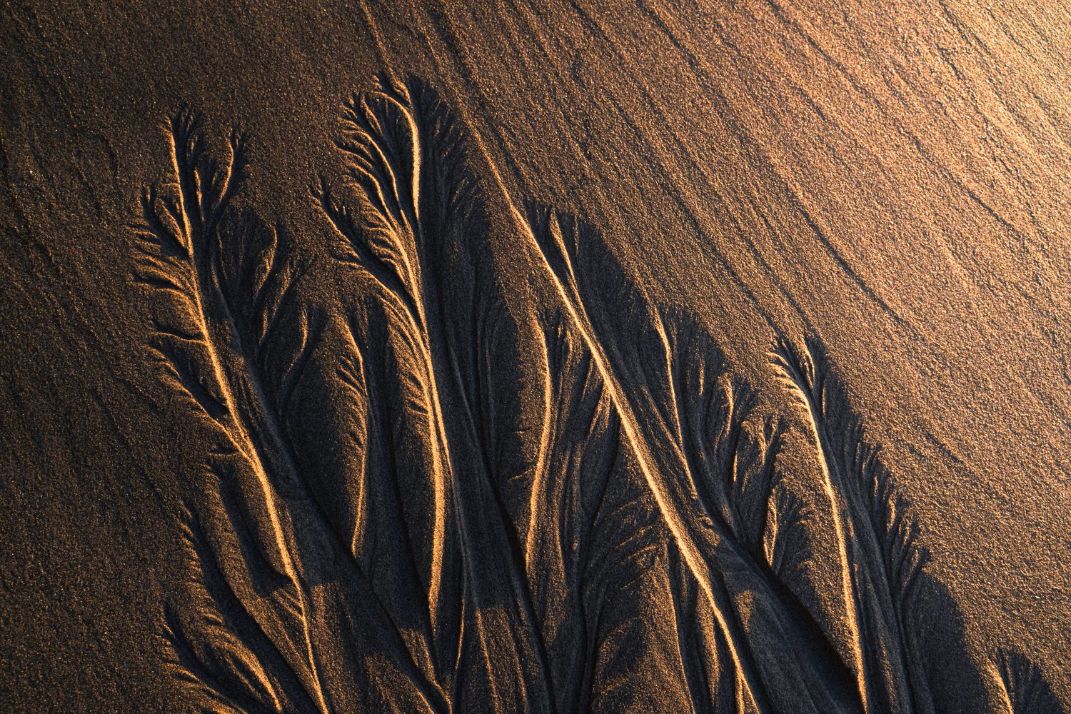 Temporal Scars