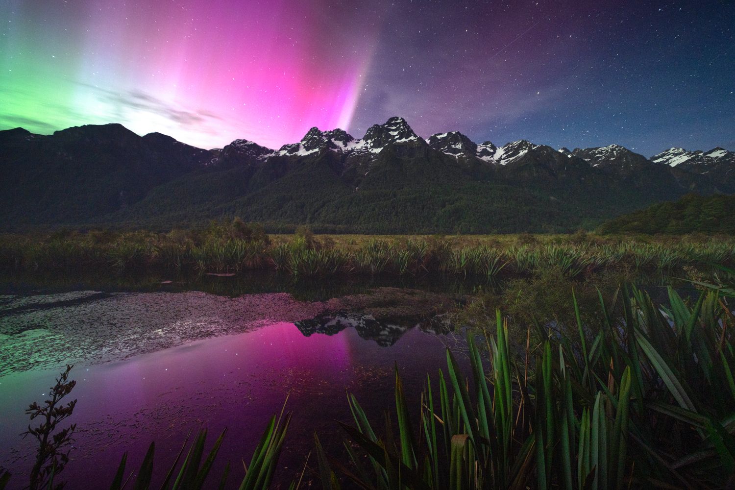 Night Mirror
