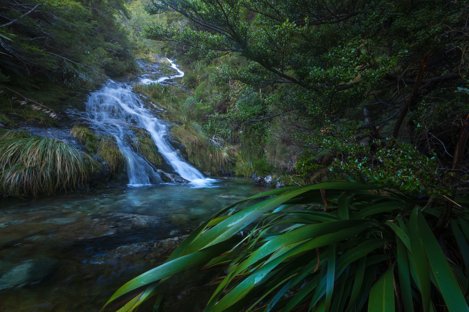Secluded