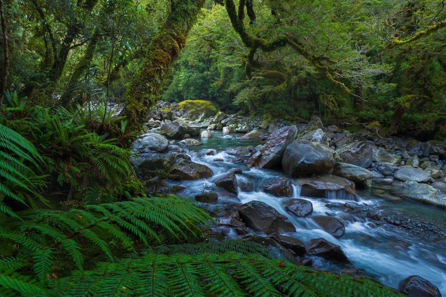 Wild Waters