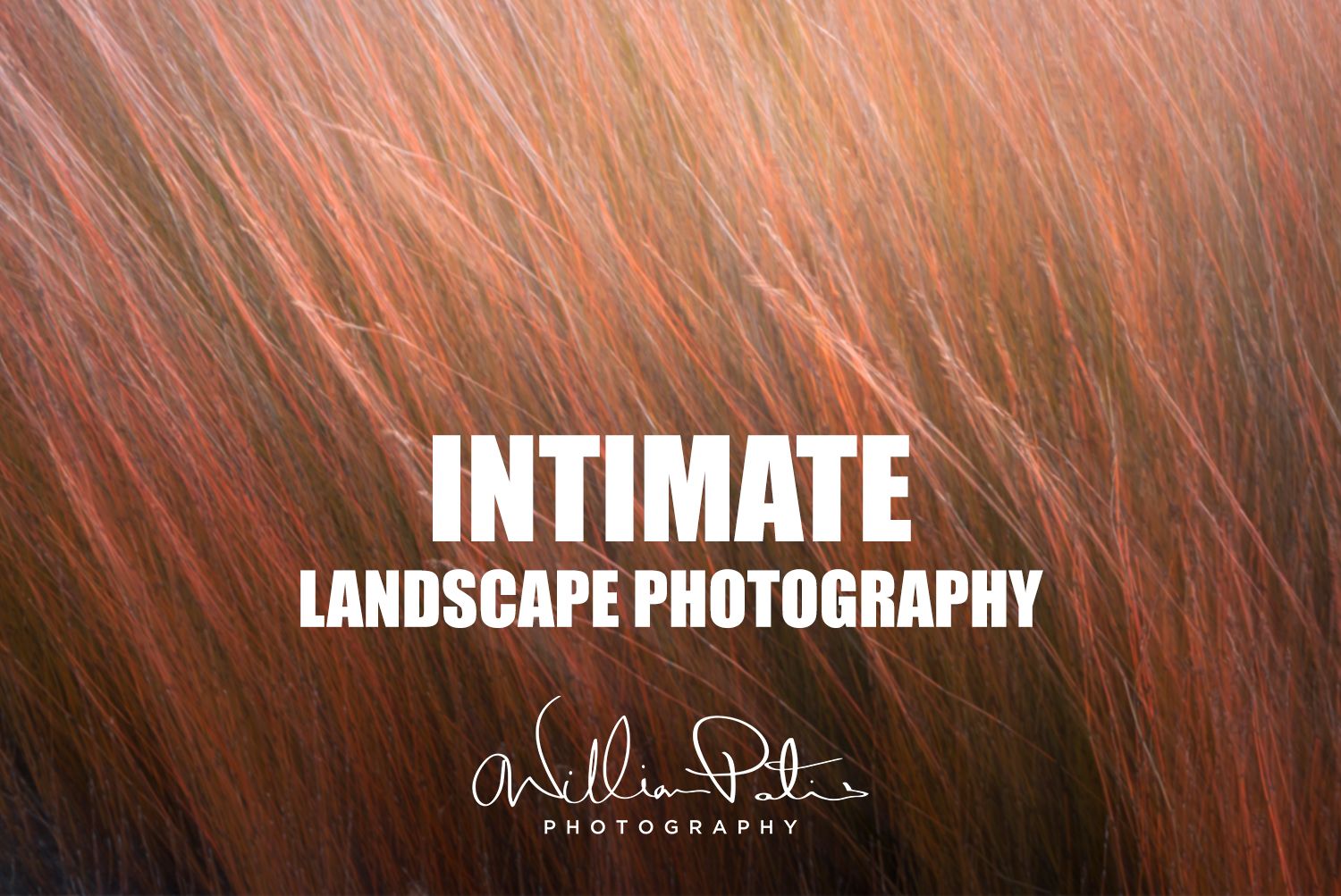 Intimate Landscape Photography
