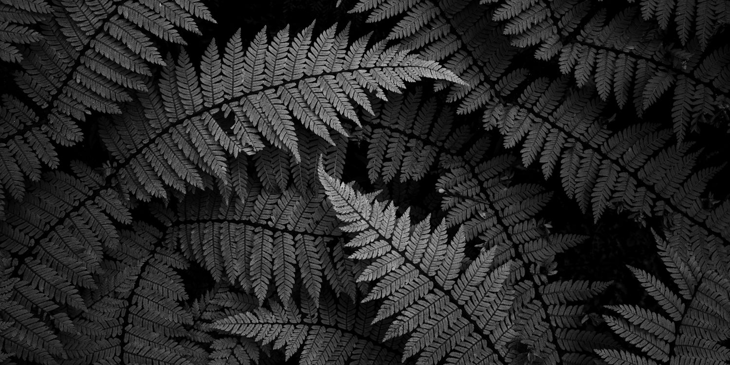 Forest Complexities