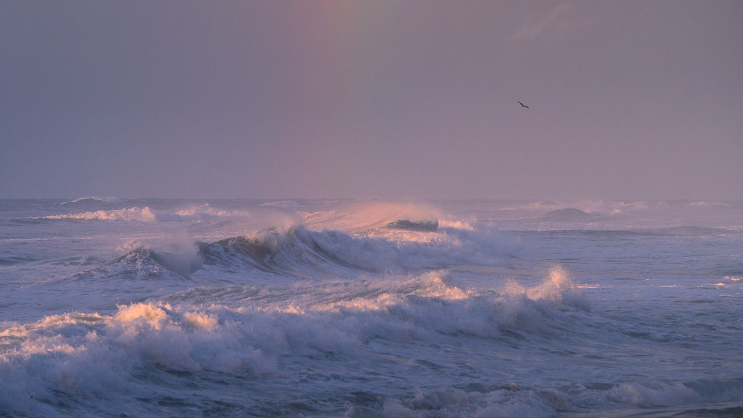 Brush Of Light